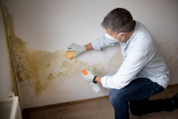 Biohazard Mold Removal in Groton, SD