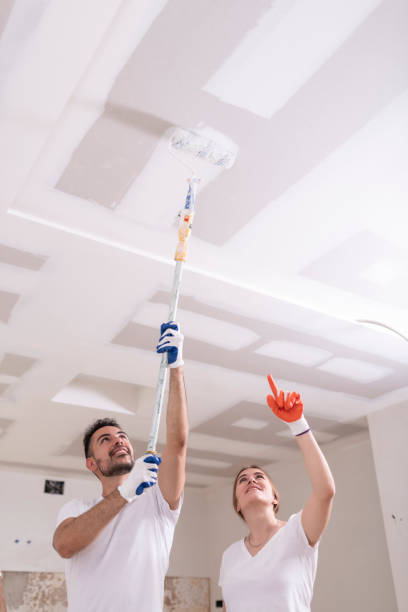 Best HVAC Mold Inspection and Cleaning  in Groton, SD